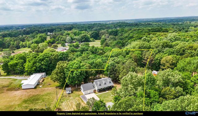 1343 Neel School Road, Danville, AL 35619