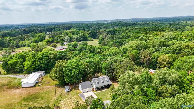 1343 Neel School Road, Danville, AL 35619