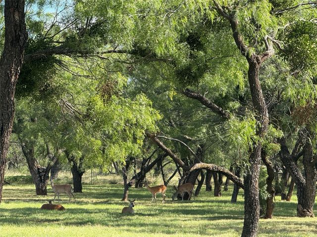 175 Mesquite Drive, Early, TX 76802