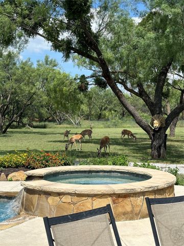 175 Mesquite Drive, Early, TX 76802