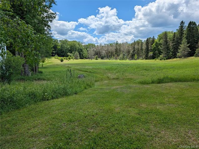 00 Gold Dan Road Building 56, Swan Lake, NY 12783