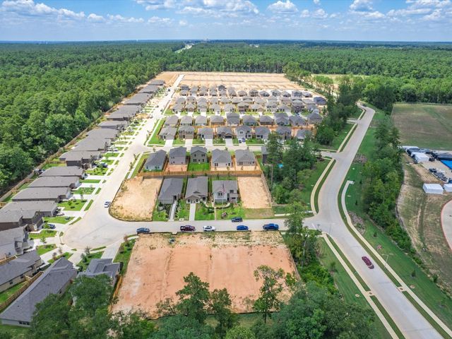 414 Kinglet Drive, Willis, TX 77378