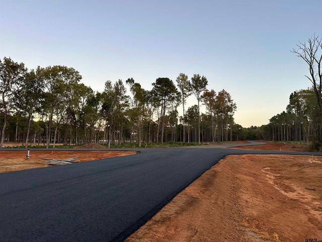 Lot 123 & 124 Oak River, Frankston, TX 75763