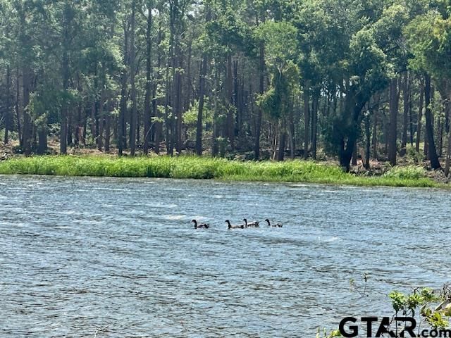 Lot 123 & 124 Oak River, Frankston, TX 75763