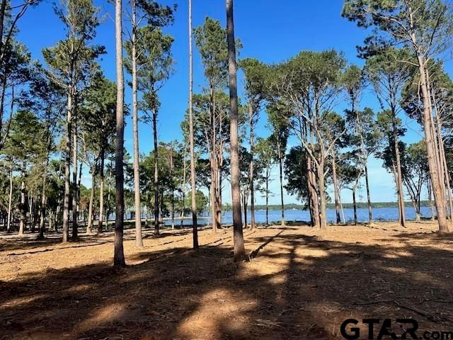 Lot 123 & 124 Oak River, Frankston, TX 75763