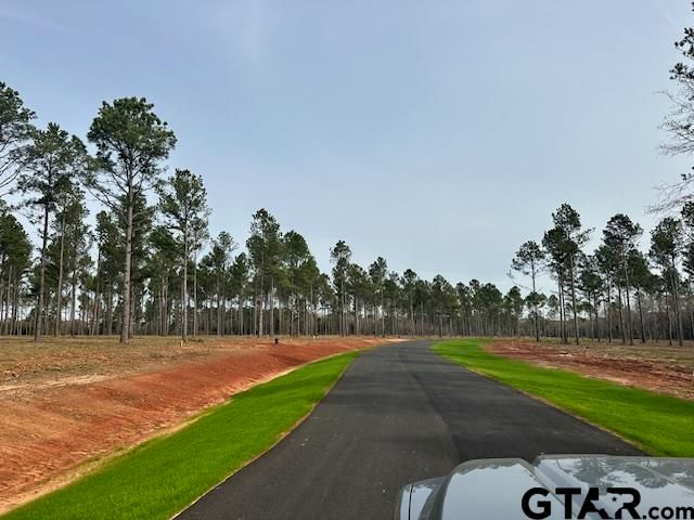 Lot 123 & 124 Oak River, Frankston, TX 75763