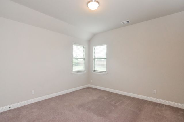 16696 Trumpet Vine Road, Frisco, TX 75033