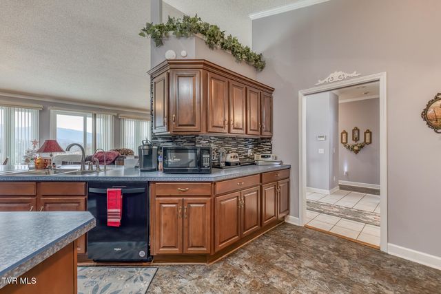 229 Country Meadow Circle, Bristol, TN 37620