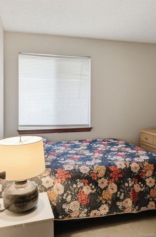 11842 W Brandt Avenue, Littleton, CO 80127