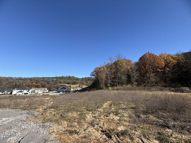 10 Murrel Drive, Franklin, TN 37064