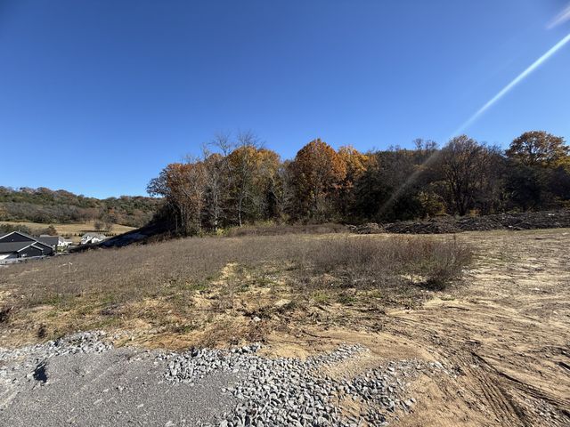 10 Murrel Drive, Franklin, TN 37064