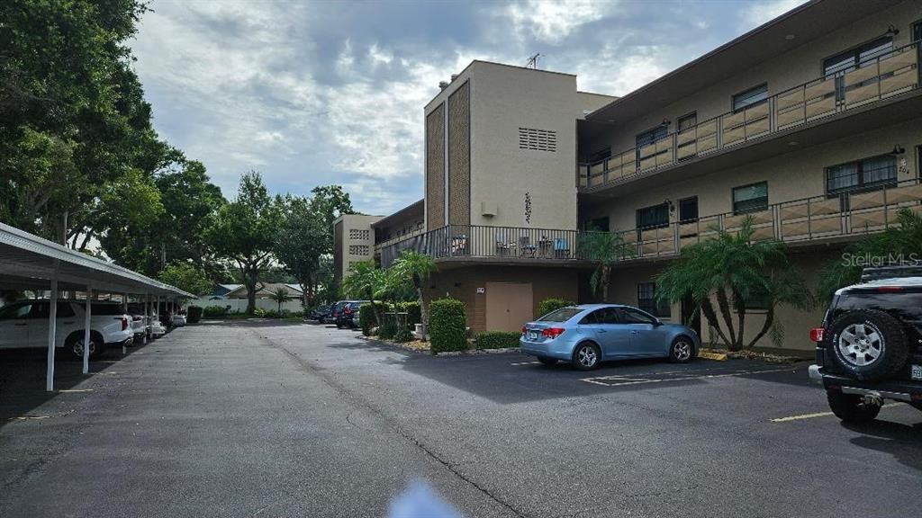 5975 TERRACE PARK DRIVE N 105, St Petersburg, FL 33709