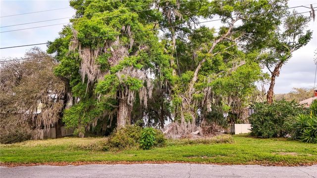 TBD LOT 01000 SILVER DRIVE, Umatilla, FL 32784