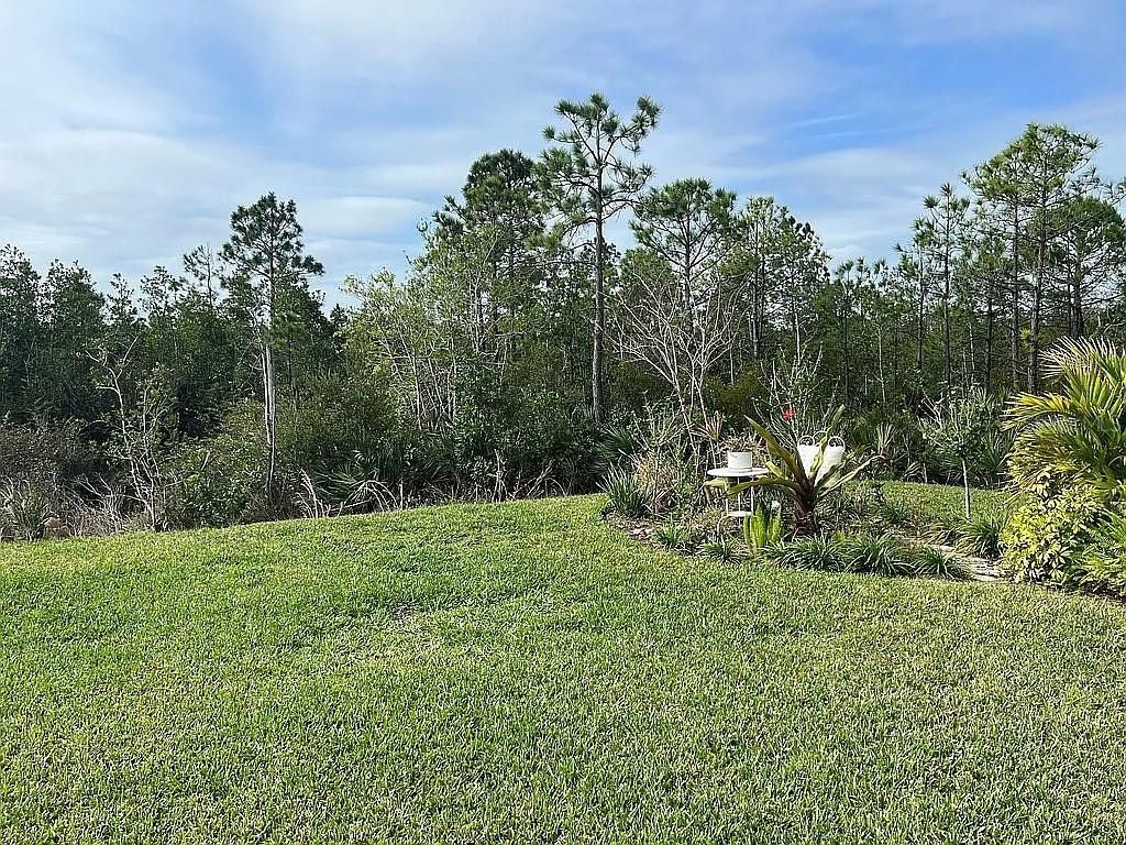 Image 32 of property listing at 2711 NEVERLAND DRIVE, New Smyrna Beach, FL 32168