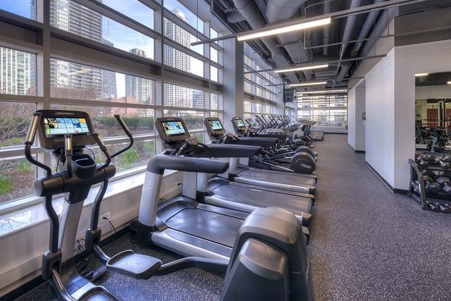 545 N Dearborn Street W1703, Chicago, IL 60654