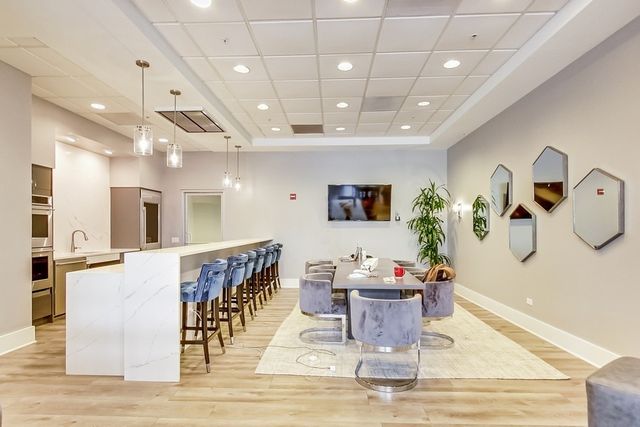 545 N Dearborn Street W1703, Chicago, IL 60654