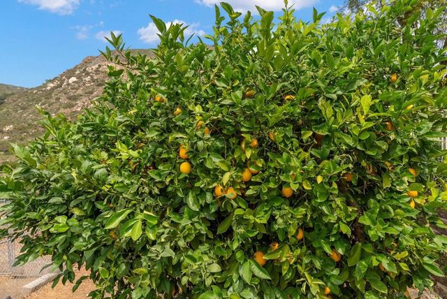 15945 Shalom, Ramona, CA 92065