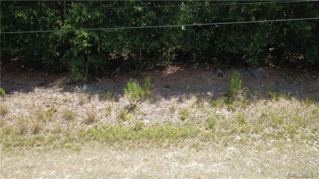 12792 W Baltic Ivy Street, Crystal River, FL 34428