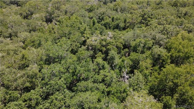 12792 W Baltic Ivy Street, Crystal River, FL 34428