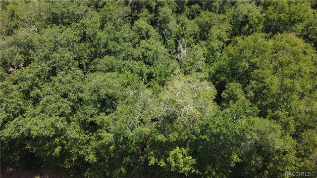 12792 W Baltic Ivy Street, Crystal River, FL 34428