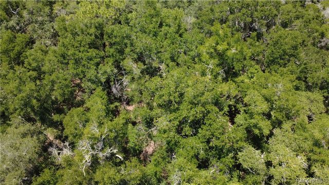 12792 W Baltic Ivy Street, Crystal River, FL 34428