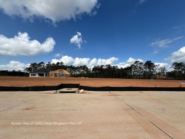 16851 Deep Wingbeat Way, Magnolia, TX 77354