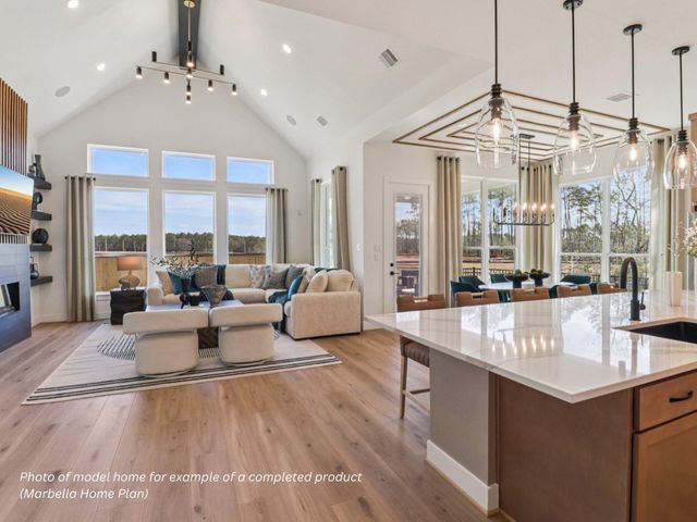 16851 Deep Wingbeat Way, Magnolia, TX 77354