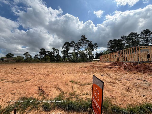 16851 Deep Wingbeat Way, Magnolia, TX 77354