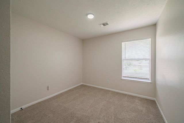 23622 Tree House Lane, Spring, TX 77373