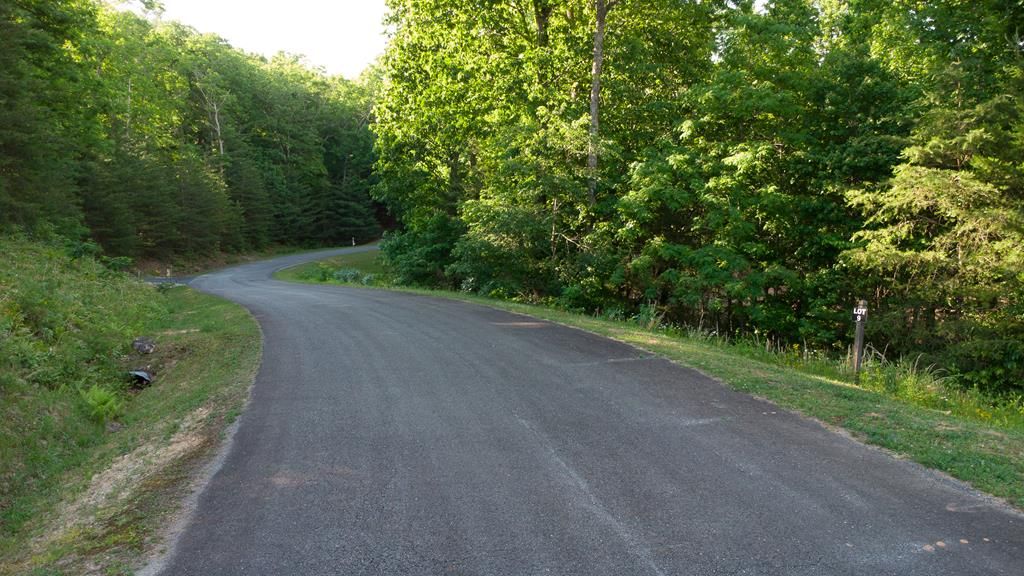 Lot 9 Robert Drive, Ellijay, GA 30536