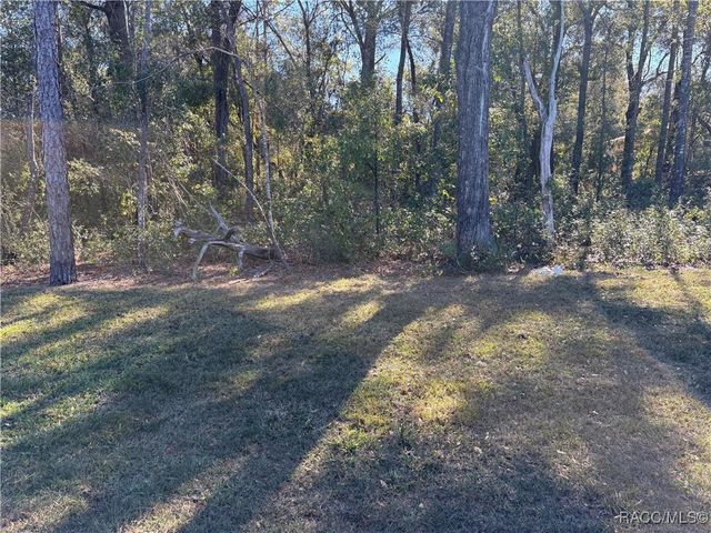 8758 N Salina Drive, Citrus Springs, FL 34434