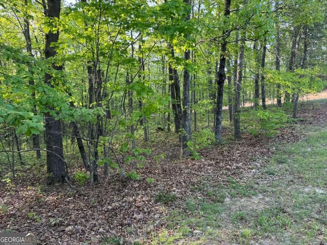1440 Hanna Drive, Ranger, GA 30734