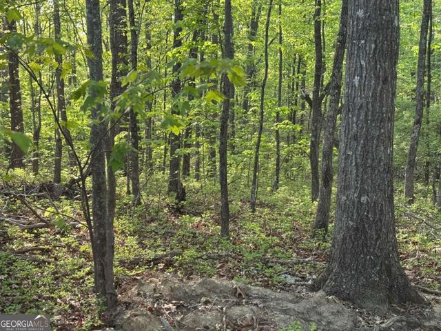 1440 Hanna Drive, Ranger, GA 30734