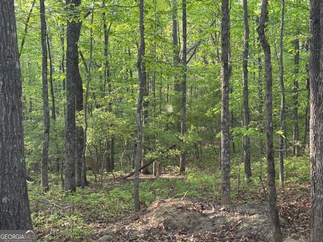 1440 Hanna Drive, Ranger, GA 30734