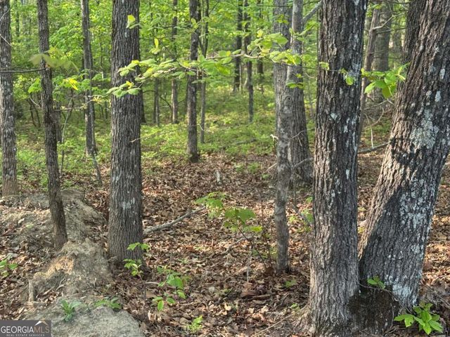 1440 Hanna Drive, Ranger, GA 30734
