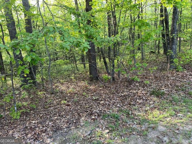 1440 Hanna Drive, Ranger, GA 30734