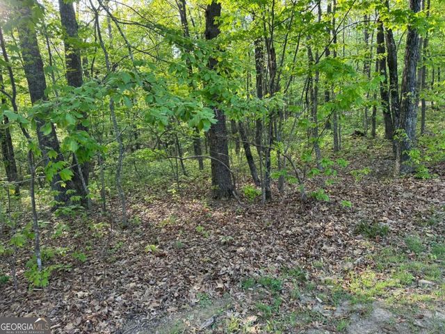 1440 Hanna Drive, Ranger, GA 30734