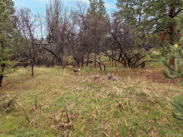 6154 N Beckwourth Ct, Parker, CO 80134