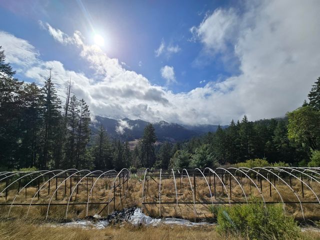 00 Reed Loop Road, Garberville, CA 95542