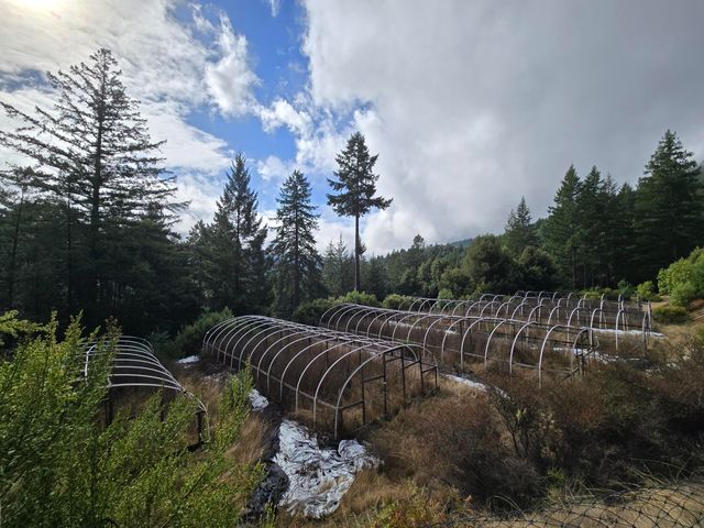 00 Reed Loop Road, Garberville, CA 95542