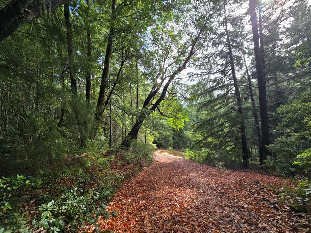 00 Reed Loop Road, Garberville, CA 95542