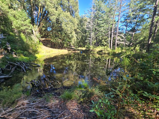 00 Reed Loop Road, Garberville, CA 95542