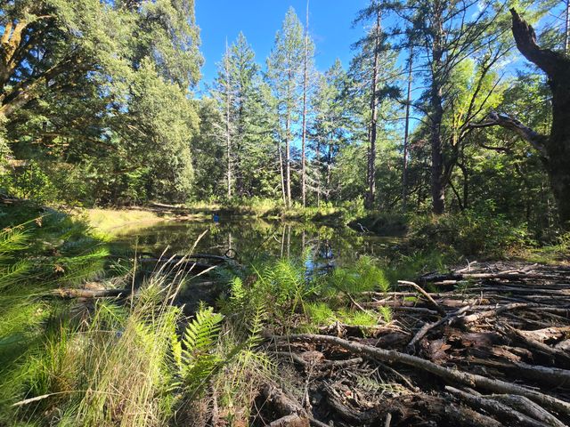 00 Reed Loop Road, Garberville, CA 95542