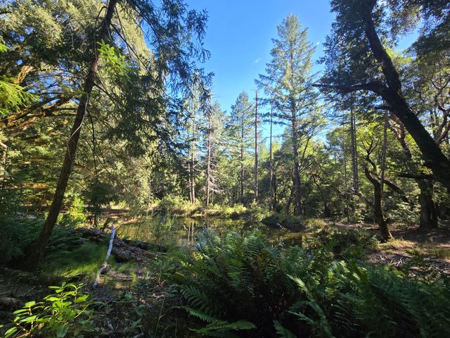 00 Reed Loop Road, Garberville, CA 95542