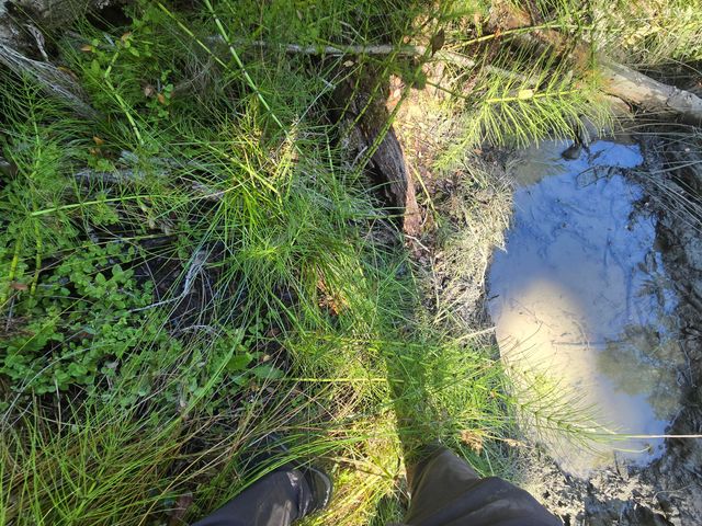 00 Reed Loop Road, Garberville, CA 95542