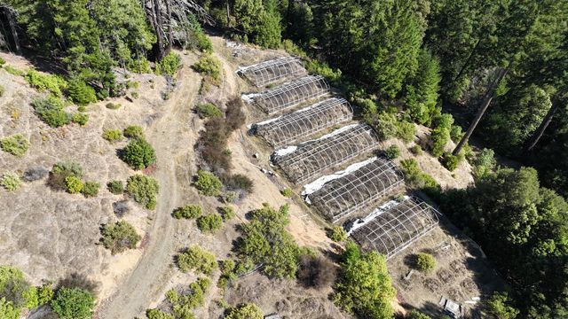 00 Reed Loop Road, Garberville, CA 95542