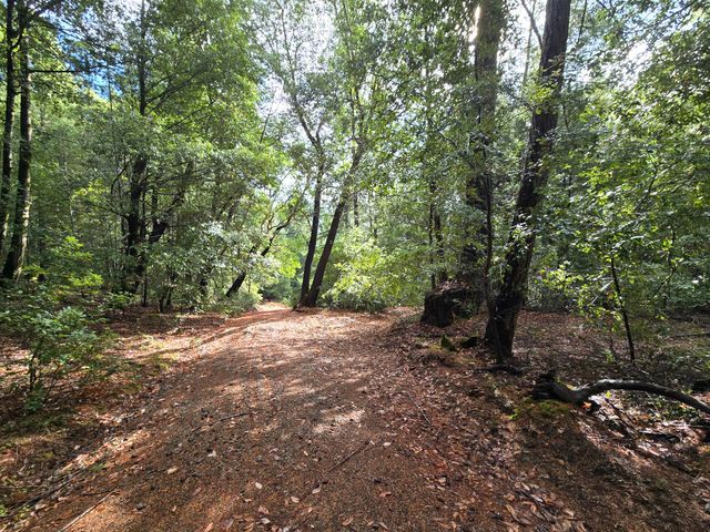 00 Reed Loop Road, Garberville, CA 95542