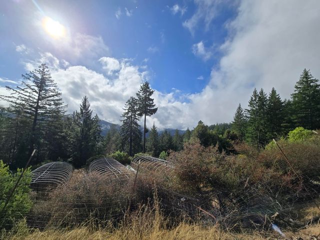 00 Reed Loop Road, Garberville, CA 95542