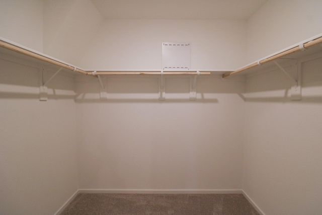 2511 Night Emerald Drive, Rosharon, TX 77583