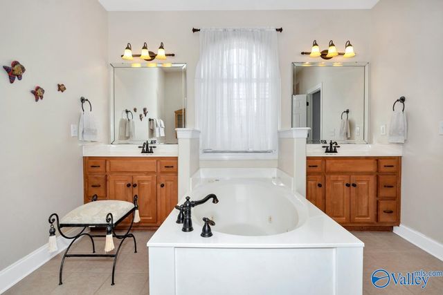 120 Burwell Ridge Trail, Harvest, AL 35749